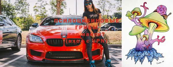индика Абдулино