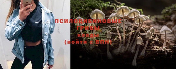 jwh Осташков