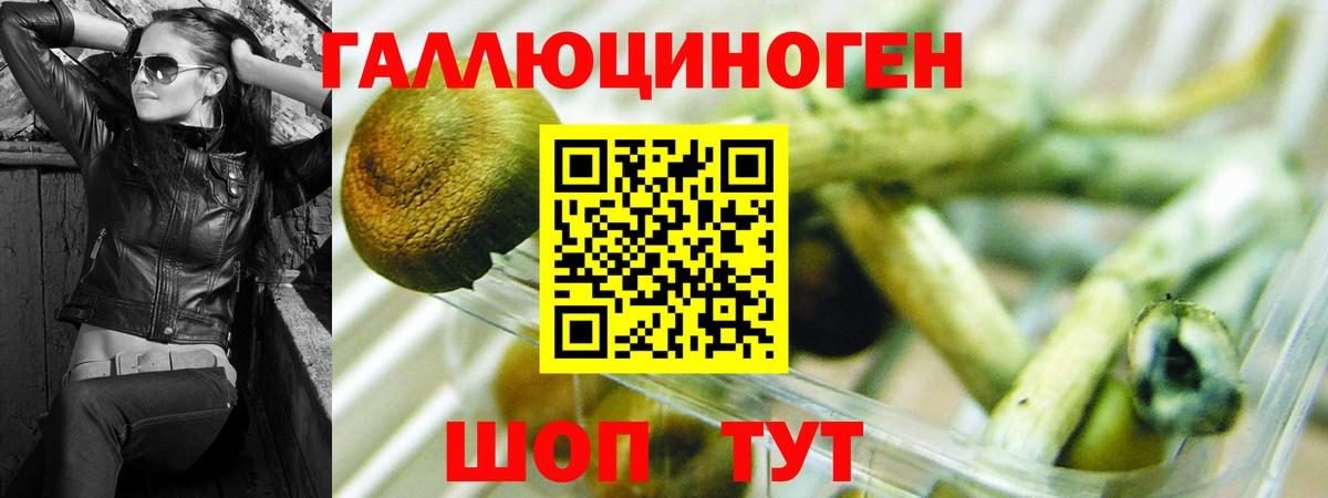 Галлюциногенные грибы Magic Shrooms Кемерово
